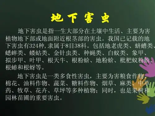 地下害虫定稿