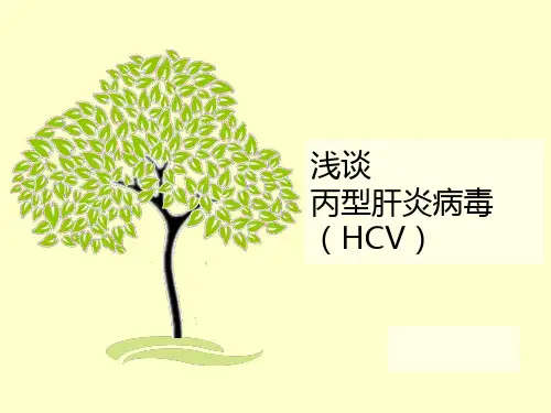 丙肝病毒