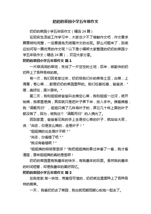 奶奶的菜园小学五年级作文
