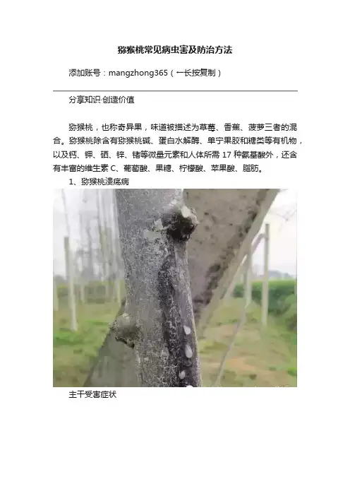 猕猴桃常见病虫害及防治方法