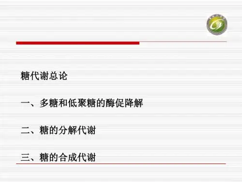 生物化学 糖代谢[优质ppt]