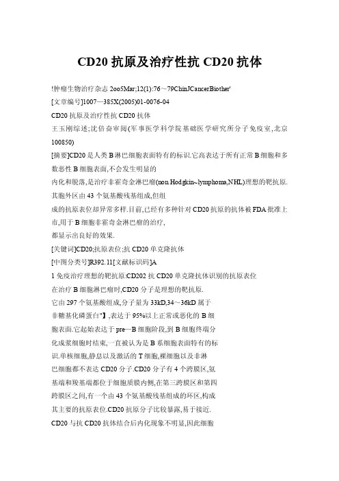 CD20抗原及治疗性抗CD20抗体