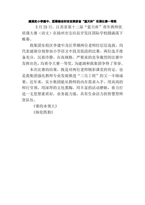 蓝天杯获奖