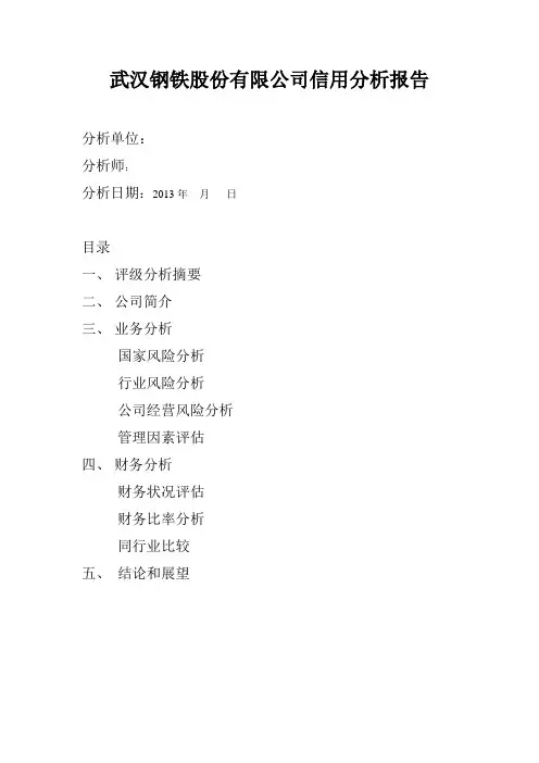 武汉钢铁股份有限公司信用分析报告