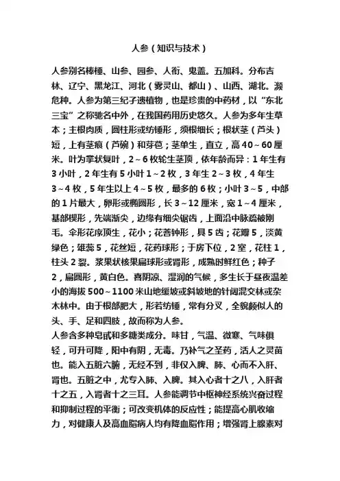 人参（知识与技术）