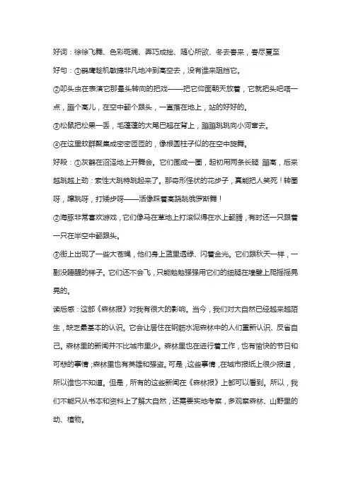 《森林报》好词好句好段摘抄