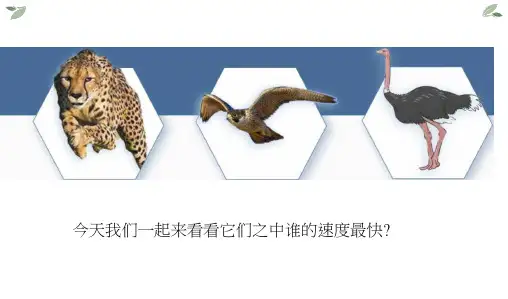 统编版五年级语文上册7什么比猎豹的速度更快课件(共38张PPT)