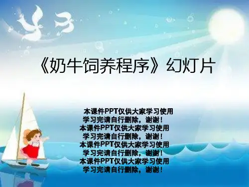 《奶牛饲养程序》幻灯片