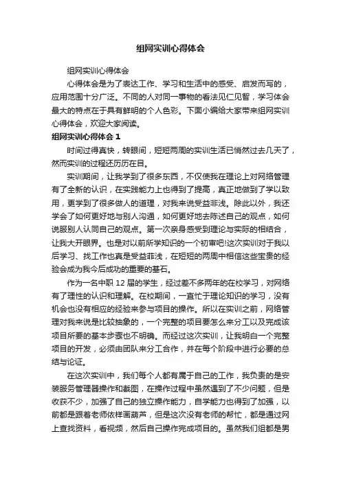 组网实训心得体会