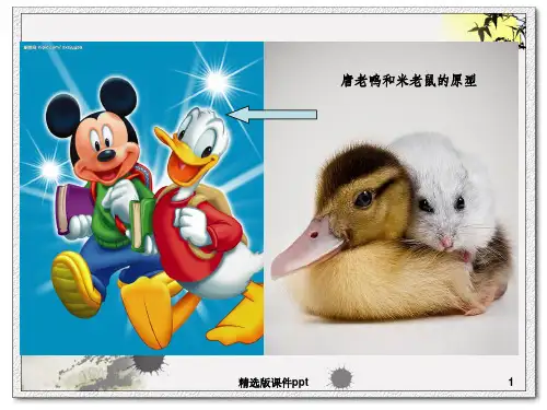 七年级美术下册第一课艺术源于生活高于生活ppt课件