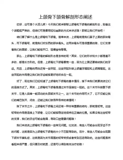 上颌骨下颌骨解剖形态阐述