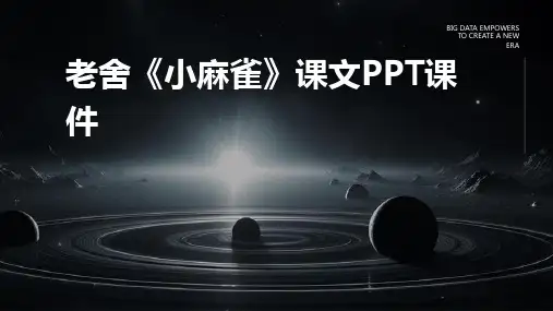老舍小麻雀课文PPT课件