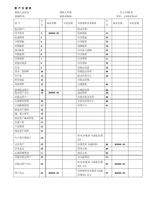 财务会计报表（小企业）