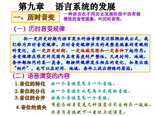 语言系统的发展