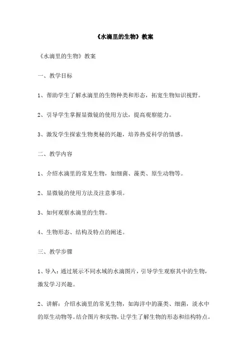 《水滴里的生物》教案