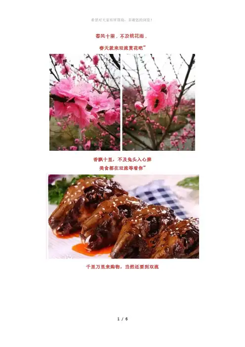 总体规划方案近期出炉!蛟龙港海滨新城即将崛起!