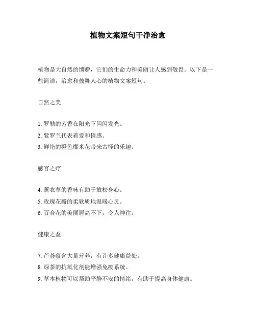 植物文案短句干净治愈