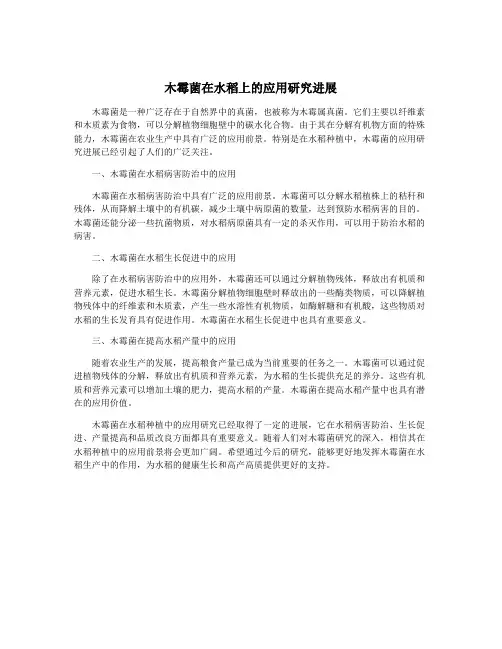 木霉菌在水稻上的应用研究进展