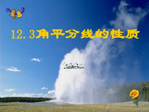 人教版八年级数学上册1角平分线的性质与判定课件