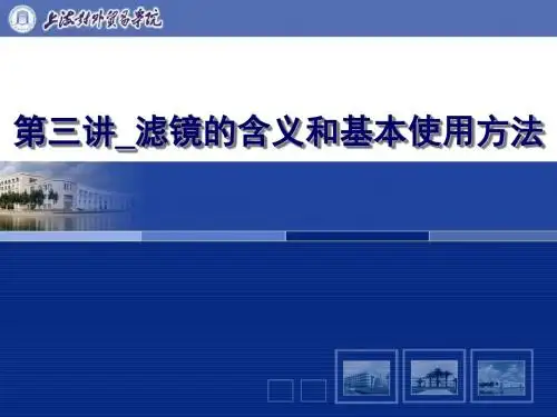 滤镜的含义和基本使用方法-PPT文档资料