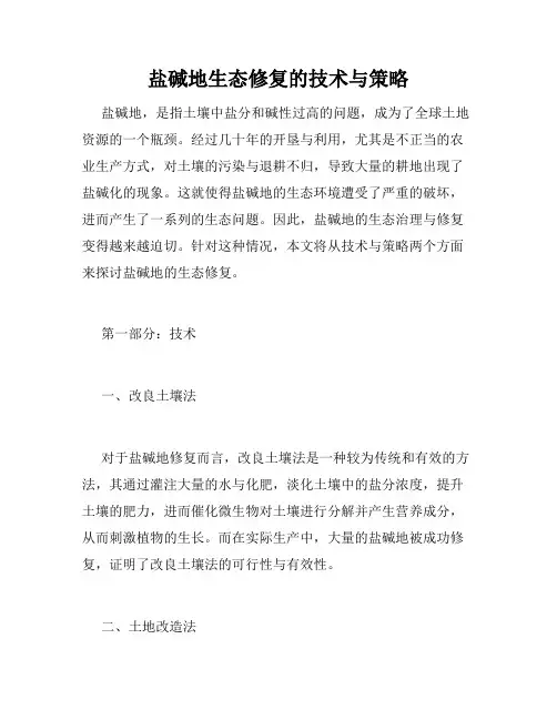 盐碱地生态修复的技术与策略