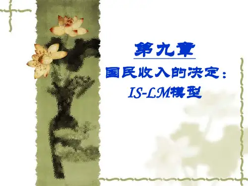 国民收入的决定：IS-LM模型