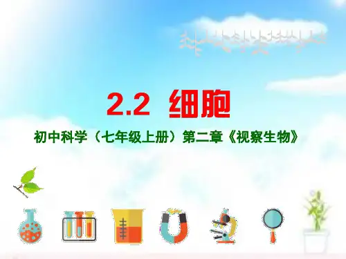 细胞观察细胞(临时装片的制作)(PPT课件(初中科学)16张)