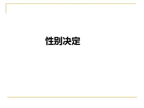 遗传学-性别决定