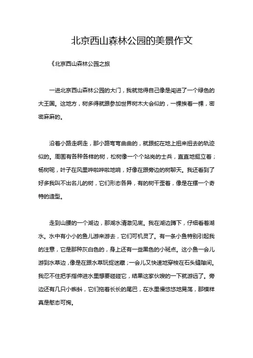 北京西山森林公园的美景作文