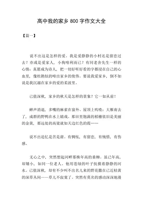 高中我的家乡800字作文大全
