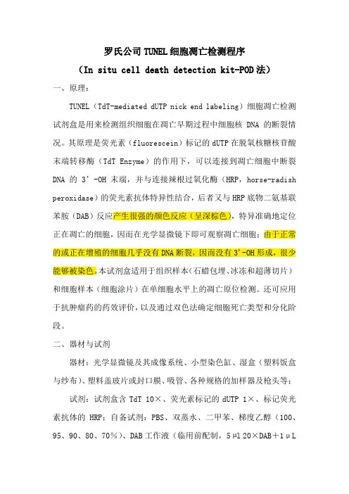 罗氏TUNEL使用说明书中文