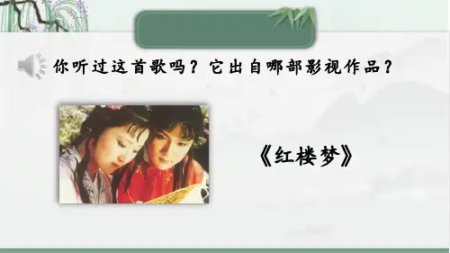 最新统编版九年级语文上册《 刘姥姥进大观园》精品考点精讲课件