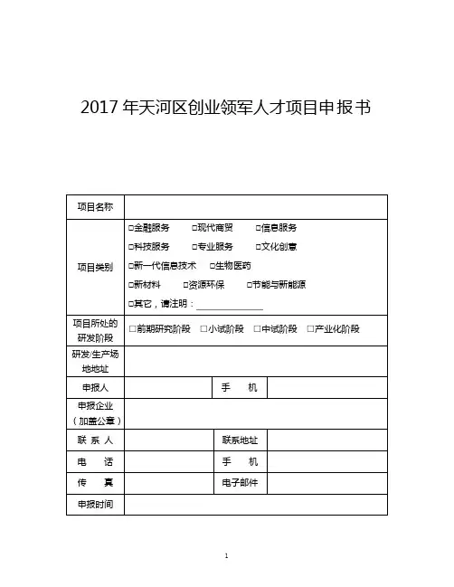 创业领军人才项目申报书模板
