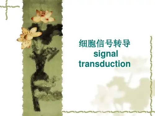 细胞生物学-细胞信号转导