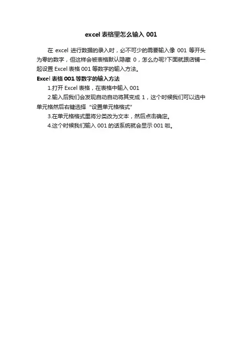 excel表格里怎么输入001