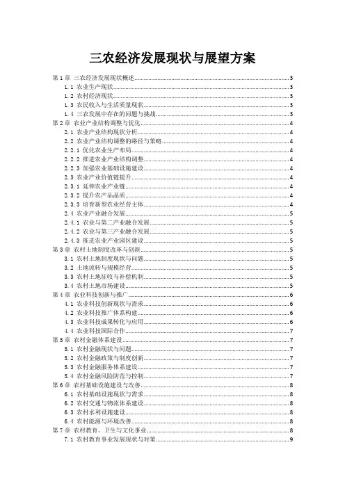 三农经济发展现状与展望方案