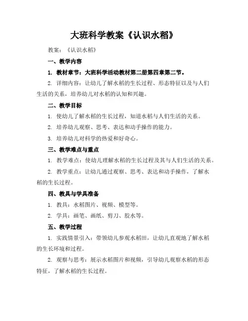 大班科学教案《认识水稻》