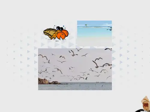 《大自然的语言》