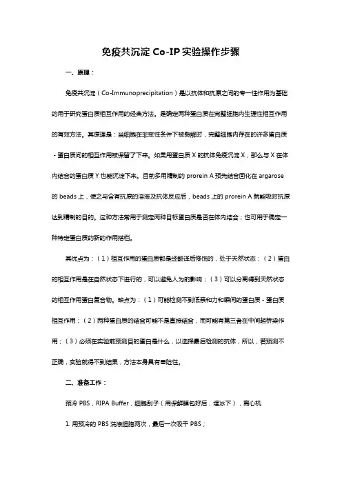 免疫共沉淀Co-IP实验操作步骤