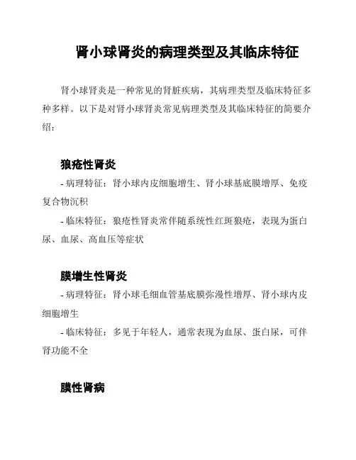 肾小球肾炎的病理类型及其临床特征