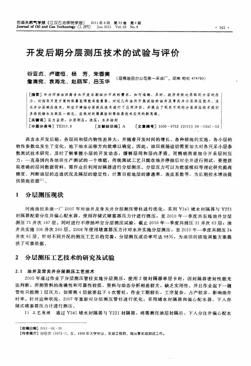 开发后期分层测压技术的试验与评价
