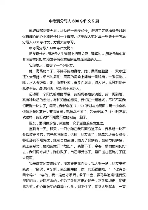 中考满分写人600字作文5篇