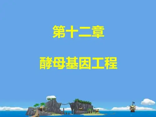 第十二章 酵母基因工程-PPT精选文档