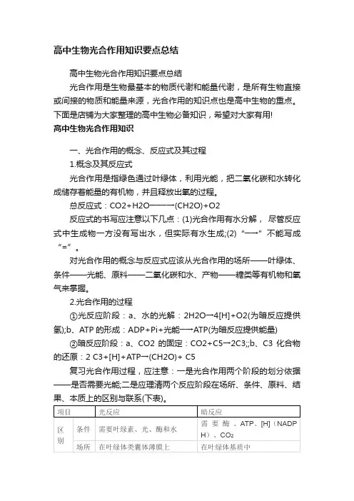 高中生物光合作用知识要点总结