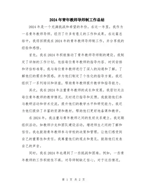 2024年青年教师导师制工作总结
