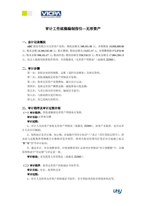 19 审计工作底稿编制指引无形资产