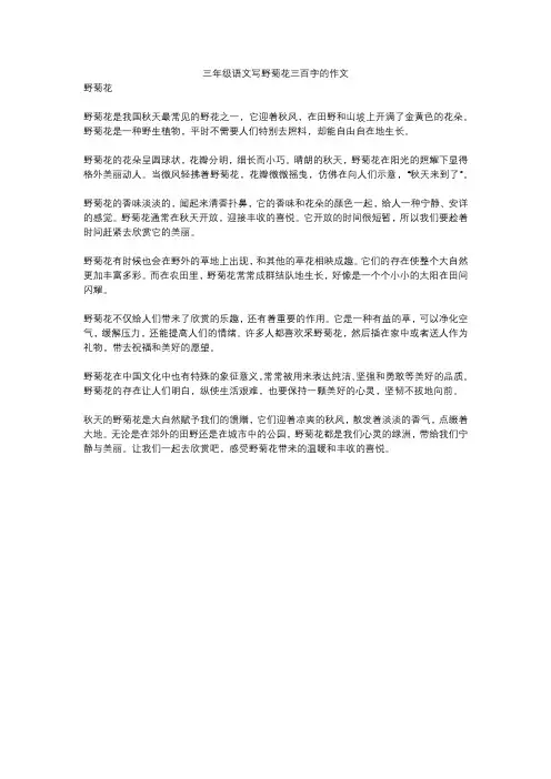 三年级语文写野菊花三百字的作文