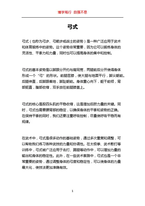 弓式_精品文档