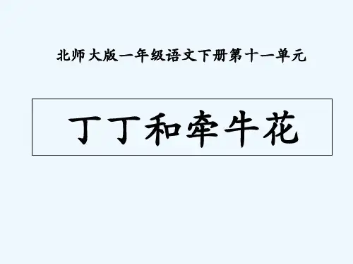 北师大版丁丁和牵牛花-PPT