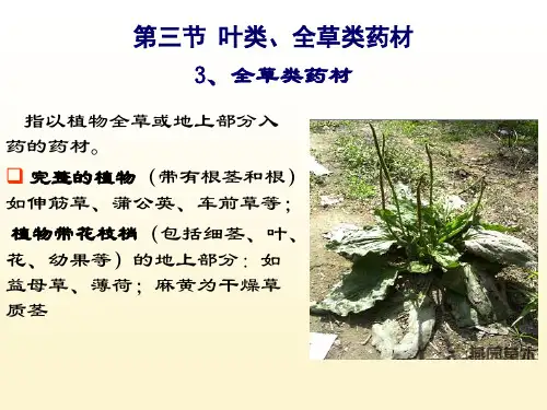 全草类药材